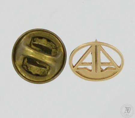 Pinssi, Ø 11mm, 585br, tausta metallia, Paino: 1,2 g