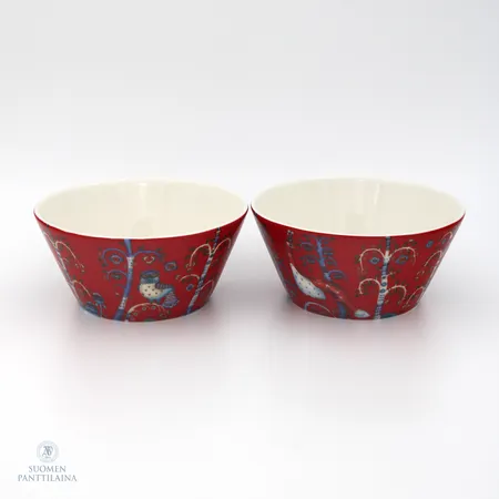 Kaksi kulhoa, Iittala, Taika, 60cl