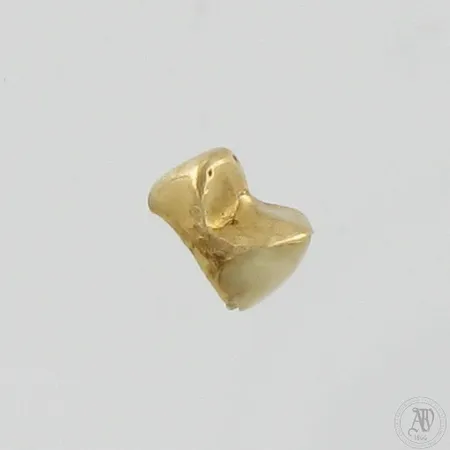 Hammaskultaa, 750br,  Paino: 0,9 g