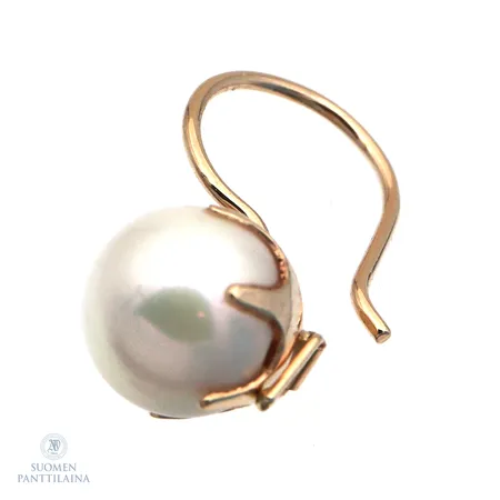 Helmikorvakoru, korkeus 19mm,  Paino: 1 g
