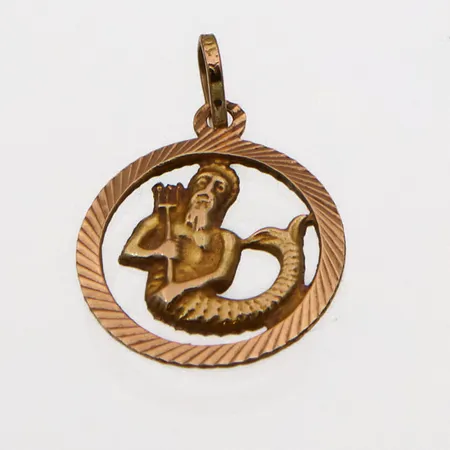 Horoskooppiriipus, Vesimies, korkeus 24mm, 585,  Paino: 1,2 g