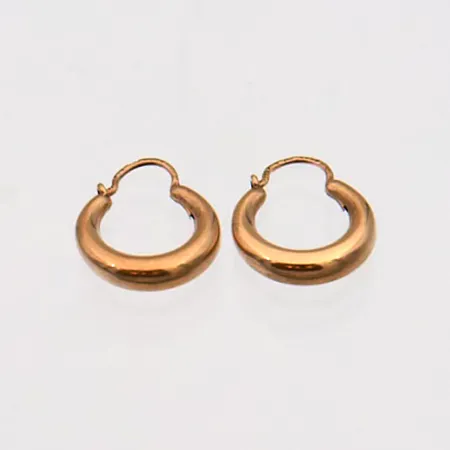 Korvarenkaat, korkeus ja leveys 20mm ja 15mm, 585, paino 2,2g Paino: 2,2 g