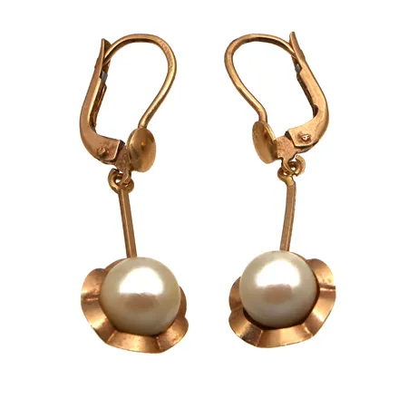 Helmikorvakorut, korkeus 40mm, 750br,  Paino: 4,1 g