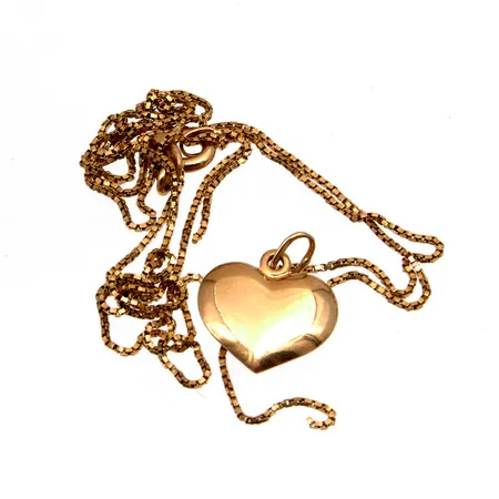 Viallinen ketju ja riipus, 585, Paino: 1,9 g