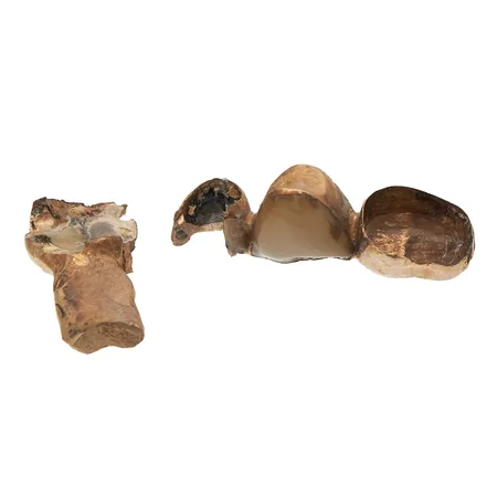 Hammaskultaa, 750br, Paino: 8,1 g