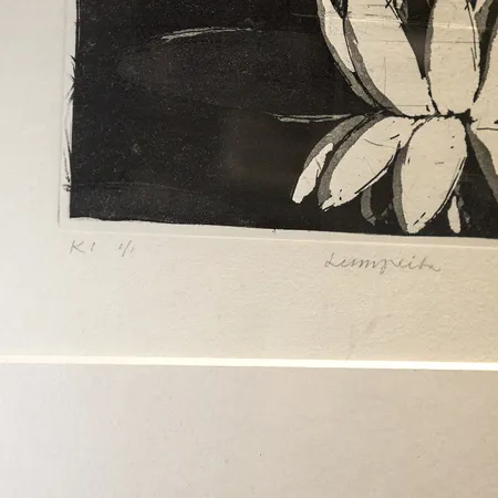 Kuva tuotteesta FI4.R1960