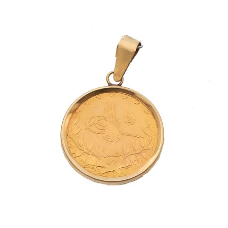 Kultarahariipus 100 kurush, 917 ja kehys 585, Paino: 8 g