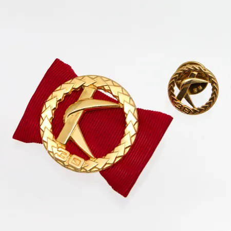 Kaksi rintakorua, Kuntaliitto 30, 830br, Paino: 9 g