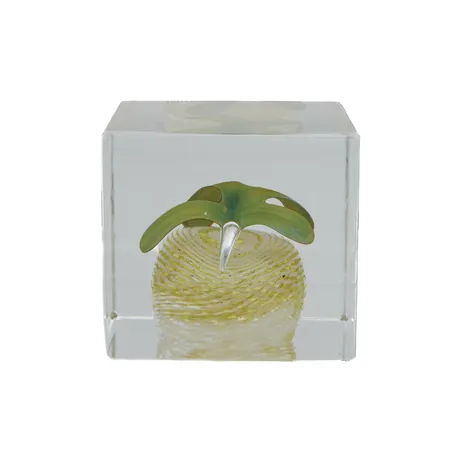 Vuosikuutio, Nuutajärvi 1986, 55/2000, signeeraus Oiva Toikka, pohjassa siirtelynaarmuja