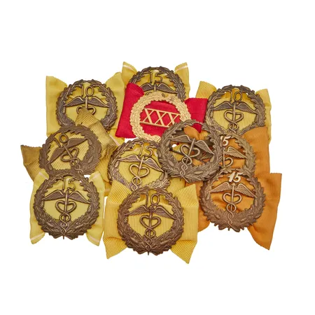 11 ansiorintamerkkiä rusetilla, metallia