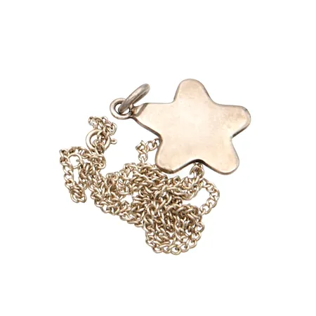 Viallinen riipus ja kaulaketju, 925,  Paino: 14,4 g