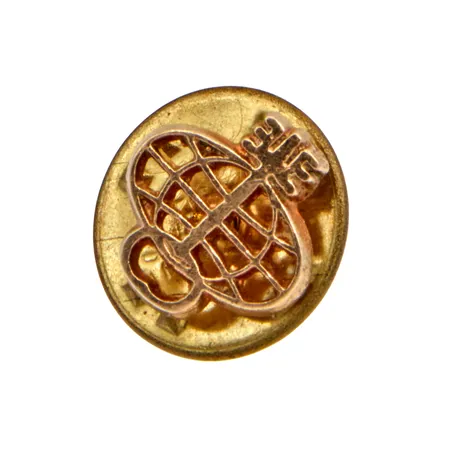 Kultainen SYP- pinssi, korkeus 10mm, tausta metallia, 585br,  Paino: 1,2 g