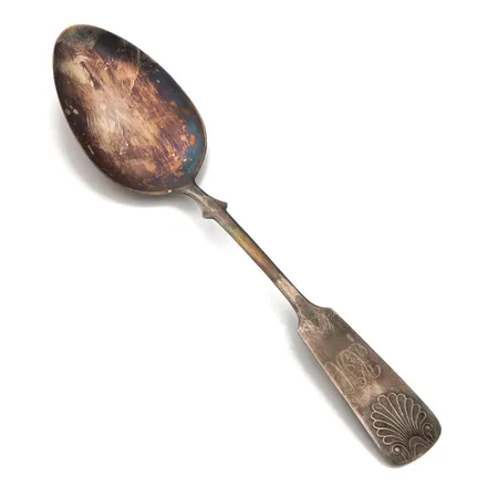 Tarjoilulusikka, Musla, kaiverrettu, pituus 225mm, 813h,  Paino: 49,8 g