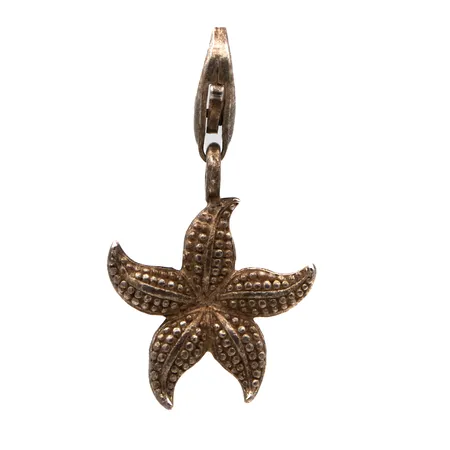 Riipus Thomas Sabo Charm Club, korkeus 25mm, 925, Paino: 2,4 g