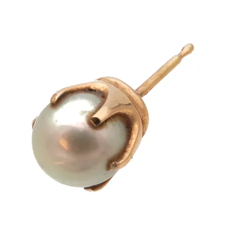 Helmikorvakoru ilman taustaa, korkeus 6mm, 585br, Paino: 1,1 g