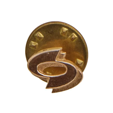 Pinssi, leveys 11mm, 585br, Paino: 1,3 g