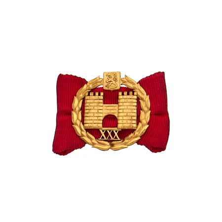 Suomen Kaupunkiliiton virka-ansiomerkki XXX Paino: 0 g