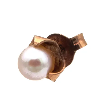 Helmikorvakoru, korkeus 6mm, 585br,  Paino: 0,5 g