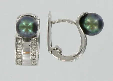 Helmikorvakorut timanteilla 23xn.0.005ct, yksi kivi puuttuu, 585brvk, paino 7,1g Vikt: 7,1 g