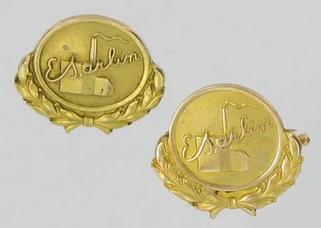 Kaksi rintakorua E Sarlin, korkeus 1,7cm, 585 ja 585br, paino 3,2g ja 5,0g Vikt: 8,2 g