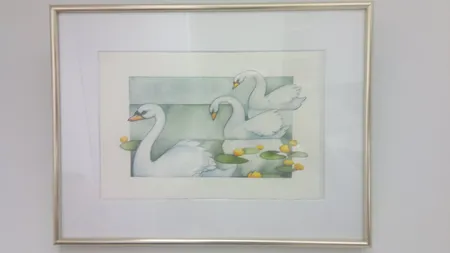 Taulu akvarelli, koko 21X13cm, joutsenia signeerattu Riikka Juvonen