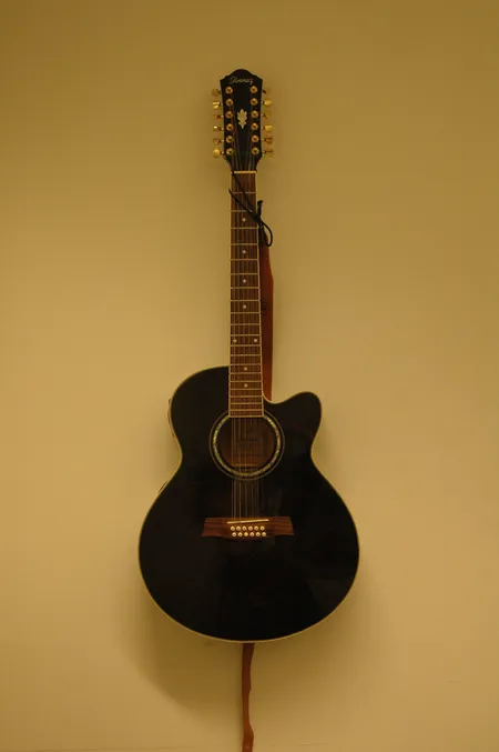 Elektroakustinen kitara Ibanez AEL-2012-TKS1201, 12-kielinen, Kova laukku