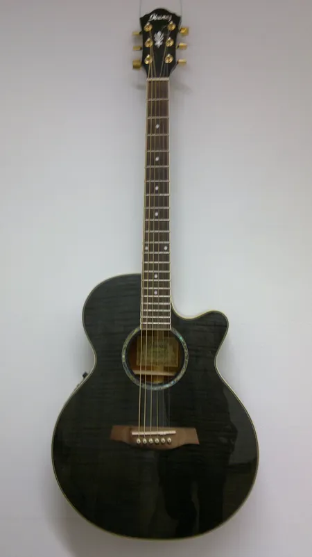 Elektroakustinen kitara Ibanez AEG20E-TG-27-01, sarjanumero J100200113, laukku. Nouto ainoastaan myymälästä!