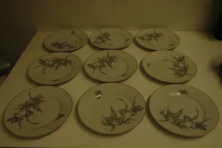 Yhdeksän Arabian ruokalautasta 1940-luvun lopulta piippuleimalla, kunto hyvä, Ainoastaan nouto myymälästä