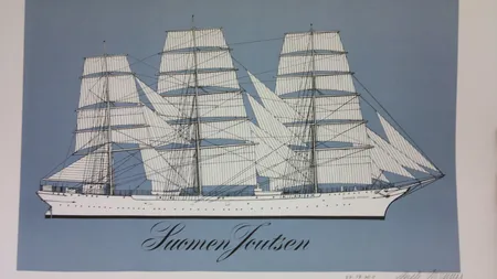 Litografia, sign.Erik Bruun, suomen joutsen 520x340mm