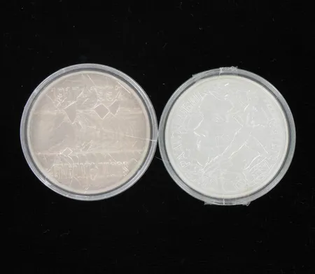 Kaksi juhlarahaa, Suomi Finland 1997 ja 1917-1992, nimellisarvo 200mk, 925, paino 46,0g Vikt: 46   g
