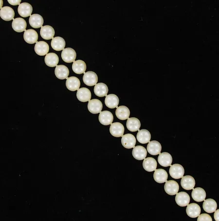 Helminauha, 82cm