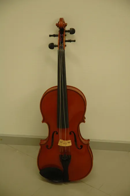 1 viulu Ernst Heirich Roth model nro: 0338 / 1998, jousi, leukatuki laukku