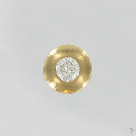 Timanttiriipus 1xn.0.10ct, 585, paino 0,6g Vikt: 0,6 g