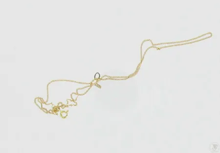 Panssarikaulaketju, korjattu, pituus 44,0cm, 585, paino 1,6g Vikt: 1,6 g